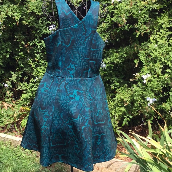 Jennifer Lopez Dresses & Skirts - Jennifer Lopez Dress